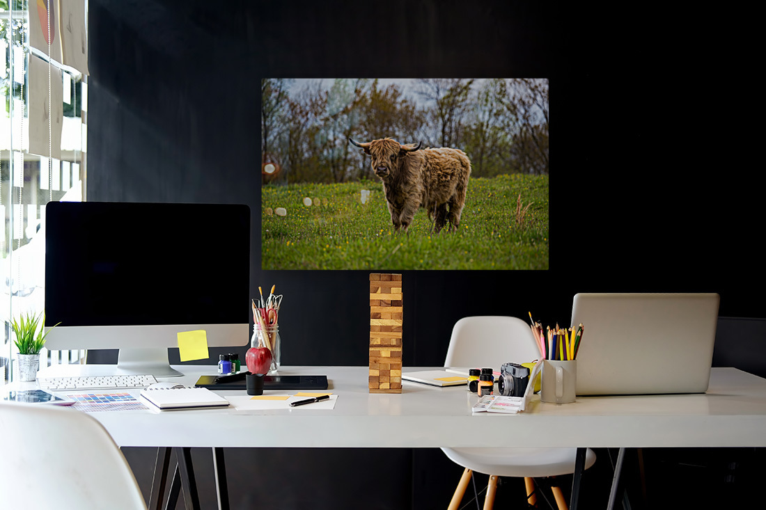 The Hairy Cow Reproduction