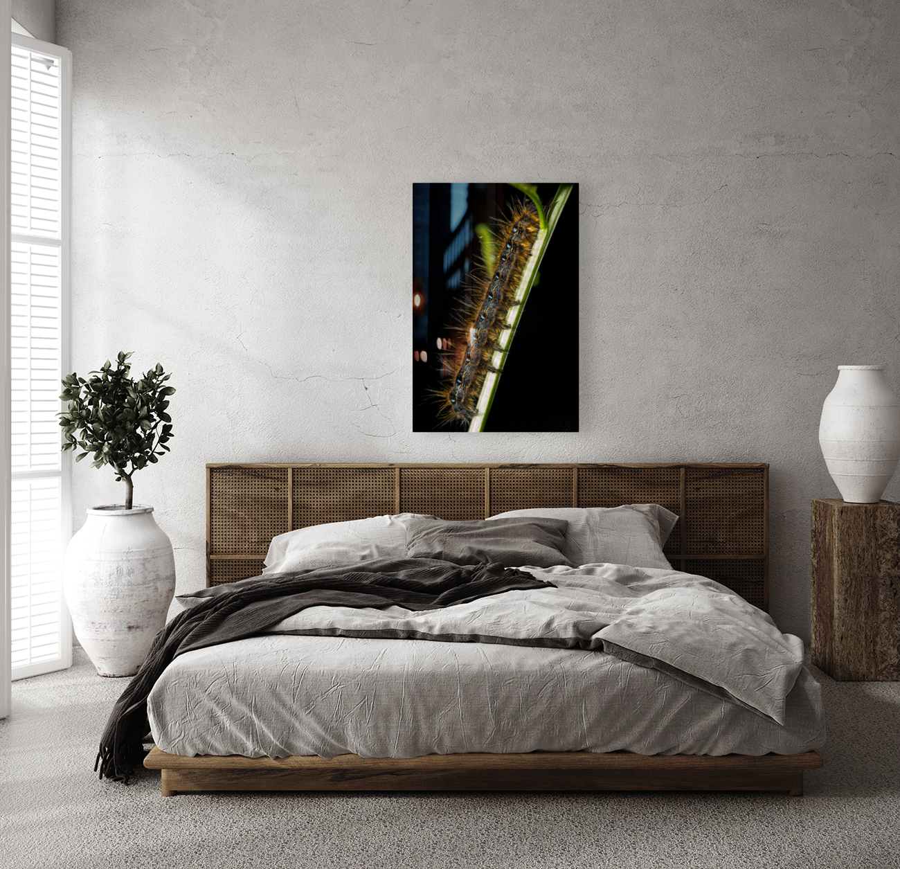 Gypsy Moth Caterpillar Reproduction