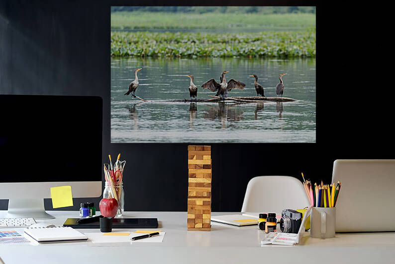 Waterfowl Party by Nativ