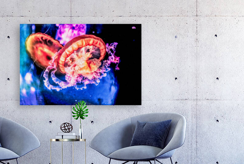 Im In Love With The Jellyfish by Nativ