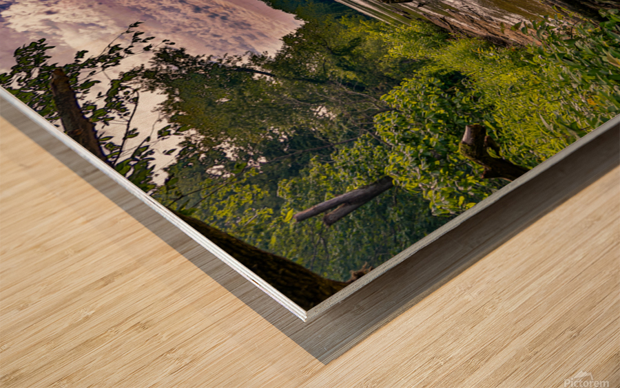 Waterscape Park Wood print