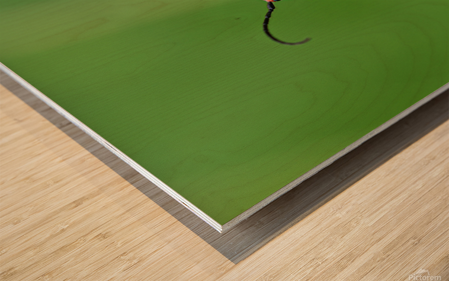 Hello Friend Wood print