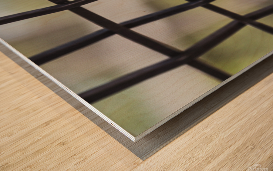 Through the Screen Wood print