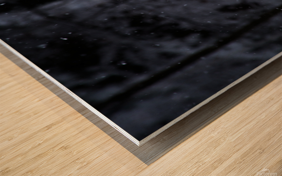 Quiet Snowfall Wood print