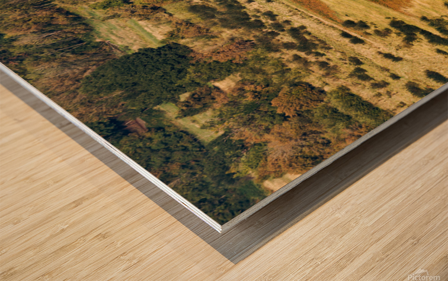 Hidden Lake Wood print