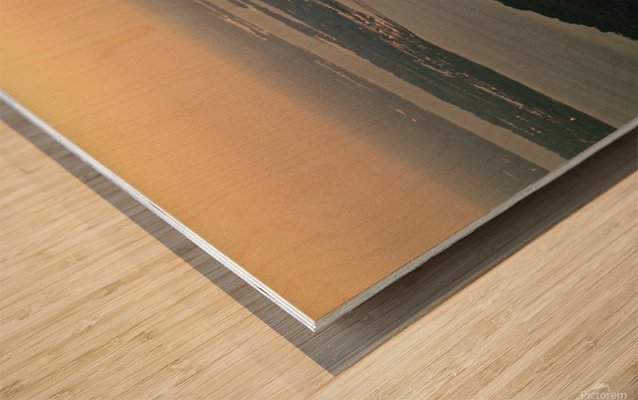 Chesapeake Bay Bridge Wood print