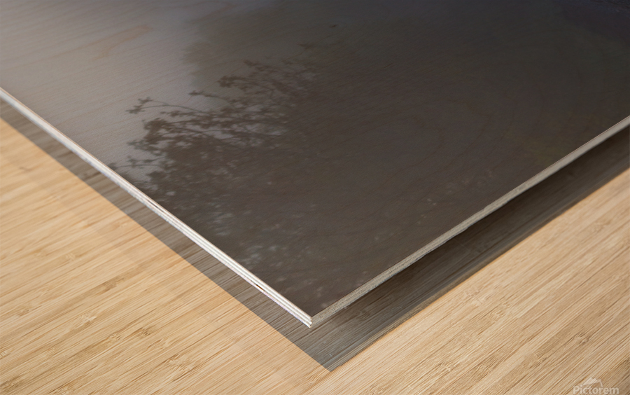 Early Morning Train Tracks Wood print